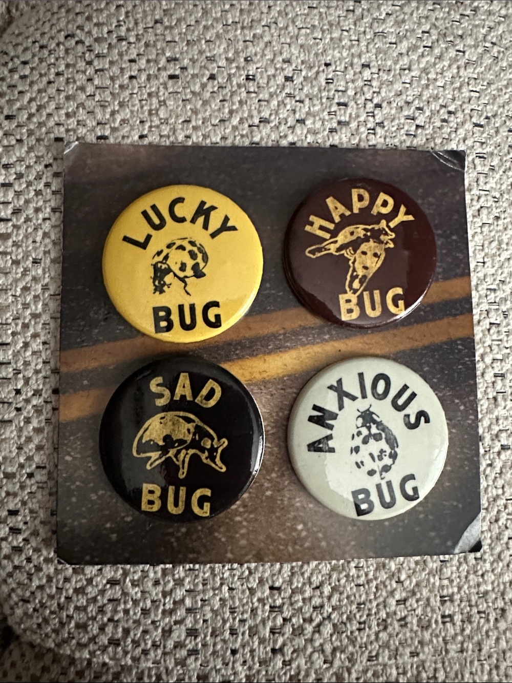 Noah Kahan “Lucky Bug” Pins